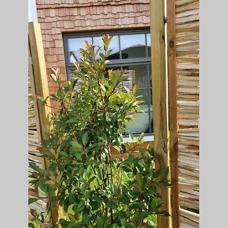 Tiny Loft Im Suedhessischen Ried Apartment Trebur Exterior photo